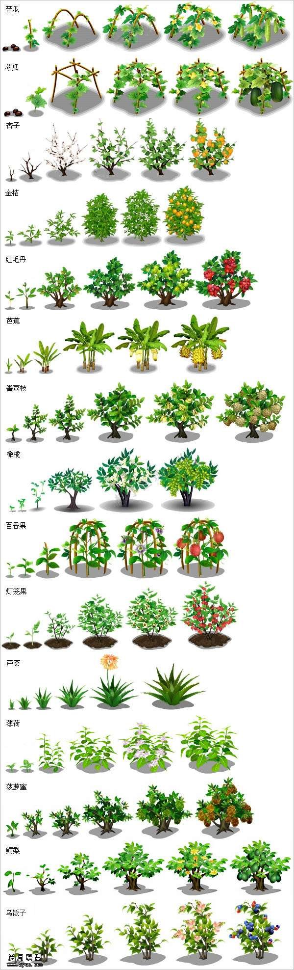 QQ农场41级及以上作物成长过程的全景图_新客网