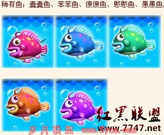 �λú������˽ڻ����ɫ����������