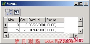 Blob in DBGrid
