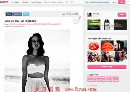每月2000万独立访客会是下一个Pinterest?