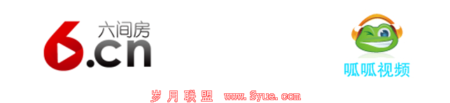 国内视频网站概况与未来（五）