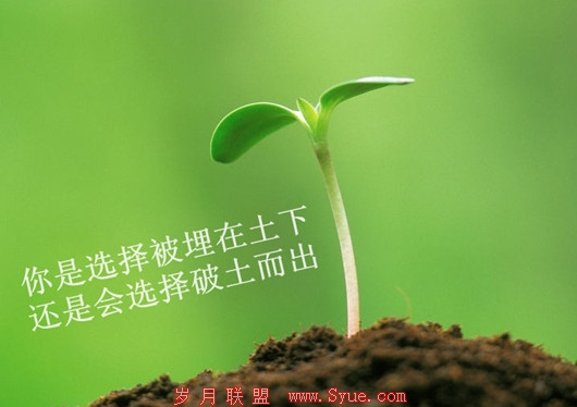 42084ac0f42a3797a1a968651d6cac3f_副本_副本.jpg