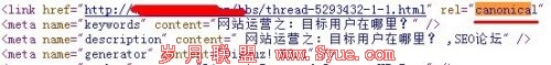 Canonical标签应用