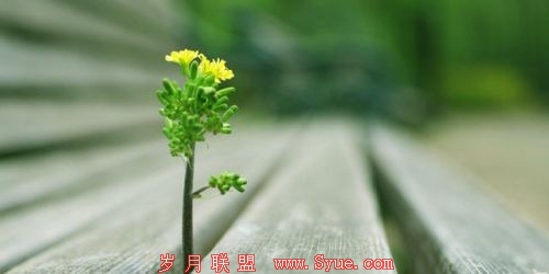 国美重获新生?回归零售本质 不再死磕电商