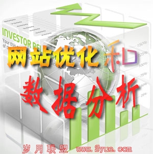 网站优化和数据分析