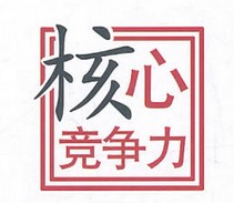 分析核心竞争力