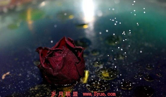 巨型企业为何失去创新DNA?公司里有“寻租者”
