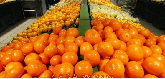 生鲜电商