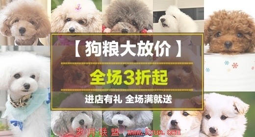 淘宝钻展投放
