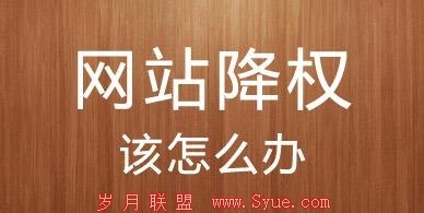 ”网站降权“如何诊断分析以及恢复排名操作