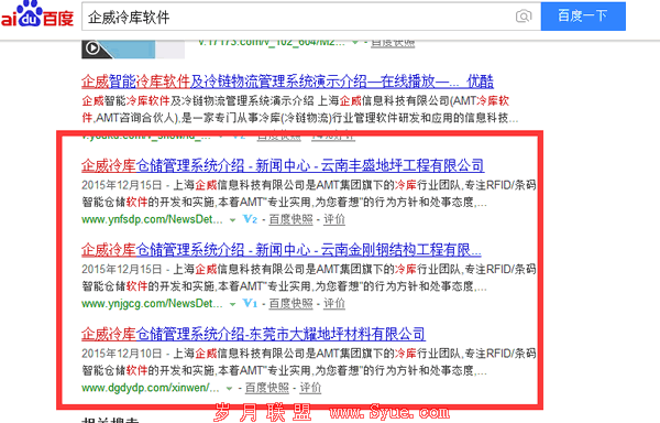 你所不知的SEO高级策略技巧(二) SEO推广 第5张