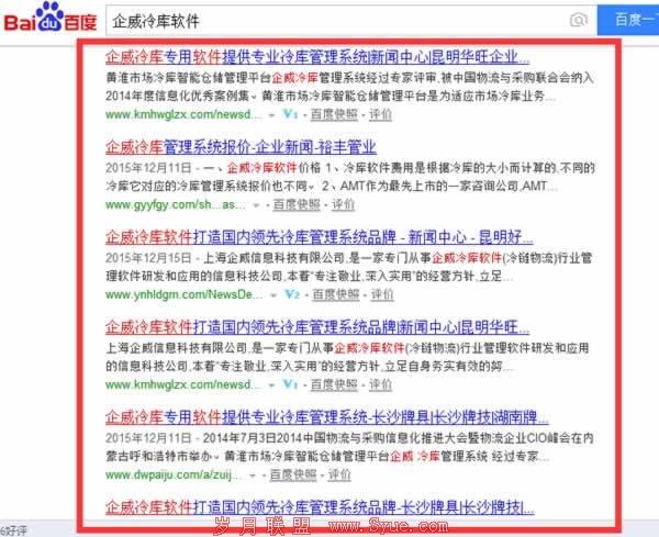 你所不知的SEO高级策略技巧(二) SEO推广 第6张