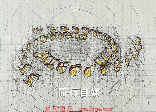 SEO的质降级关系