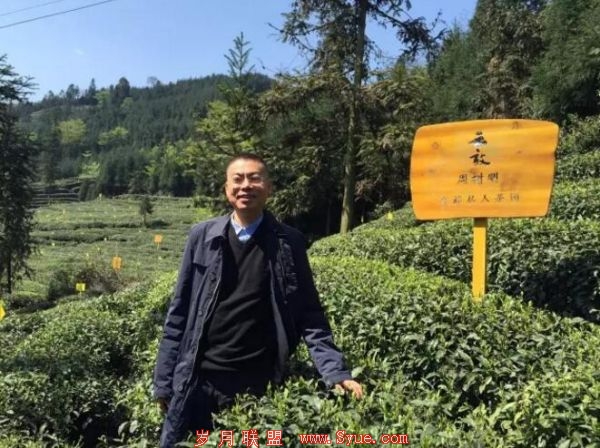 互联网+茶社群:一个茶园靠卖社群,8个月估值5亿