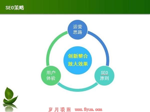 拨云见日的SEO方案 让SEO优化变得更简单