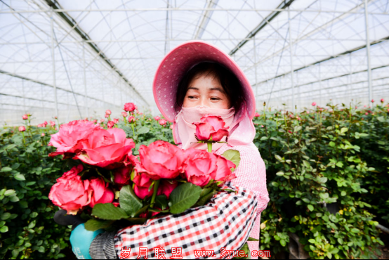 聚划算高端鲜花又卖光了!情人节包月鲜花火爆下沉市场245.png