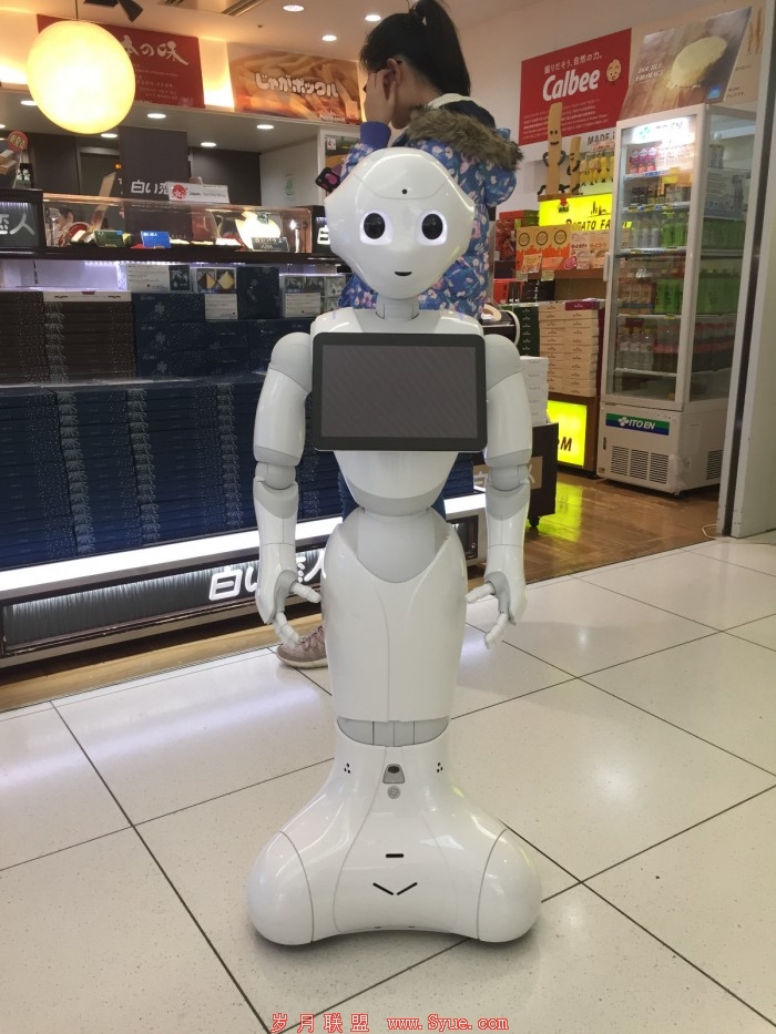 pepper1.JPG pepper1.JPG