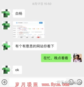 白杨SEO:如何拆解一个权6网站SEO优化技巧和变现?实战举例