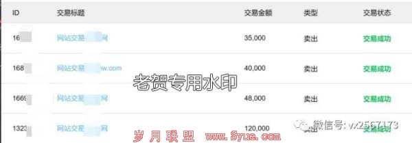 个人做网站,一年可以赚多少钱?聊卖站