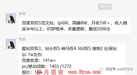 搞网站:做站群还是做精品站更有钱途?聊变现