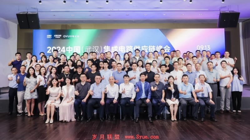 2024中国(武汉)集成电路供应链峰会圆满举行